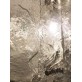 IQ8395  TEXTURED MURANO