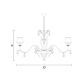 IQ2092 ACANTIA 