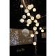 IQ2208  LUNE 