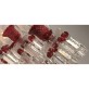 AM6290 ZENITH ROUGE