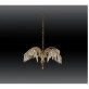 QZ1916 PALME HARROLDS