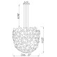 AM2239 DAHLIA  