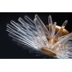 AM4509 QUINCY FLUSH MOUNT