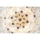 QZ6690 LARGE ZUCCHERI  