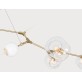 JT267 BRANCHING BURST 