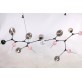 JT267 BRANCHING BURST 
