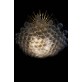 KA1837 BUBBLE CHANDELIER